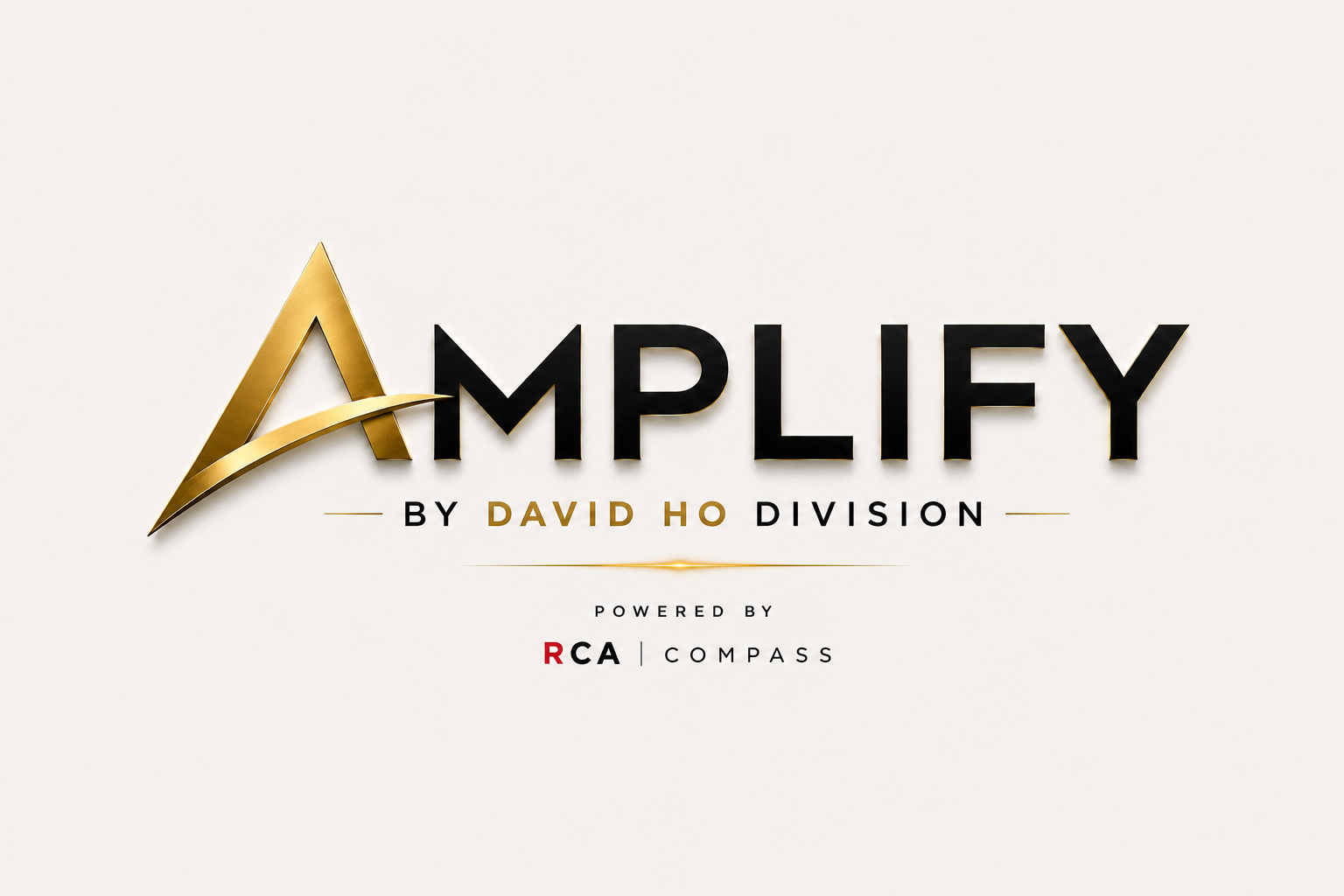 AMPLIFY by David Ho Division logo